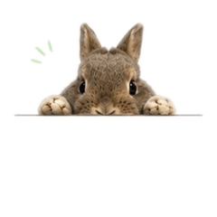 mini rabbit part I