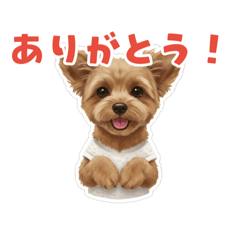 mokeke_20260511215517