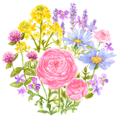 Watercolor Flower Line Stickers Line Store
