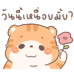 ส้มขอ