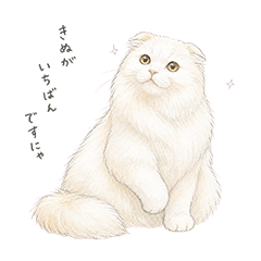kinu-sticker-1