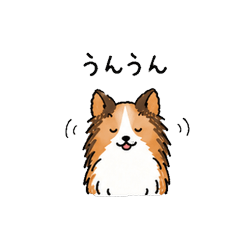 My Sheltie Said It