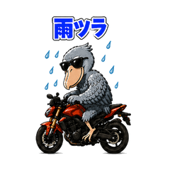 Cool Biker Shoebill - Colorful Text2