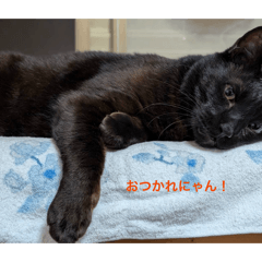 Taro mama_20260511211348