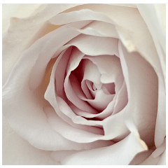 Rose Gardeners Stickers