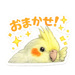 OHSHIMA_20260511211640