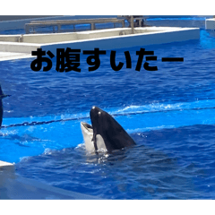 ken114_20260511215909