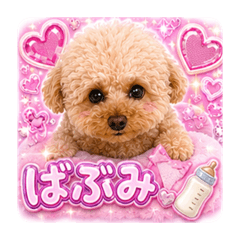 mochimaru_20260511215509