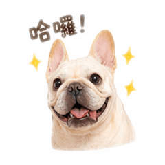 親古寶❤️