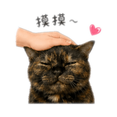 大眼曼赤肯米嚕milu 的日常
