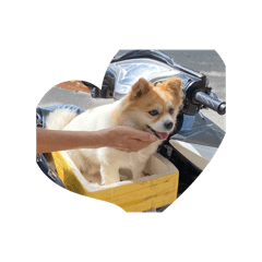 ngo thanh man_20260430224747