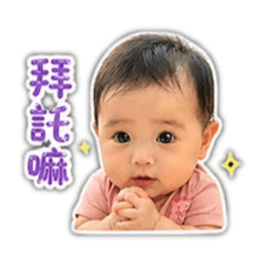 酪梨（日常用語篇）