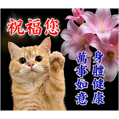 Rudi 長輩圖