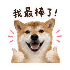 酷酷酷跑小姐！