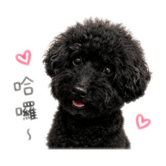 Neveah4️⃣小胖日常專用