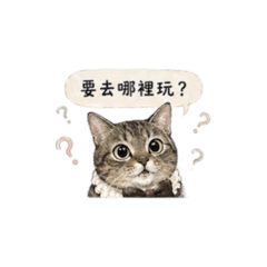 貓貓の日常對話篇♡