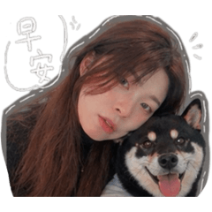 狗屁膏藥