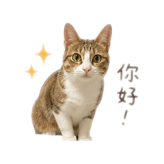 零貳貳零