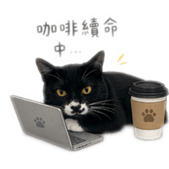 Amo的職場生活