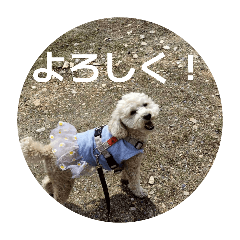 inuinu_20260511221937