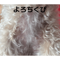 seii_20260502161125