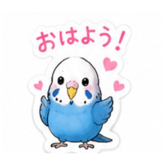minami_20260511222601