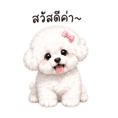 Haneul Bichon