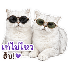 PB&MC