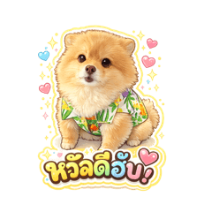 Nong Lucky P