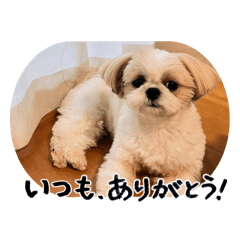 h um i_20260511201233