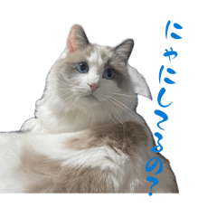 ryuka_20260511210205