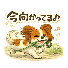 Daily Papillon Chat Stickers