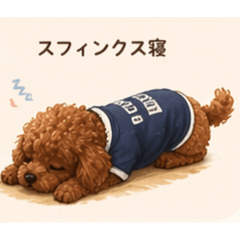 Tomato_20260511210509