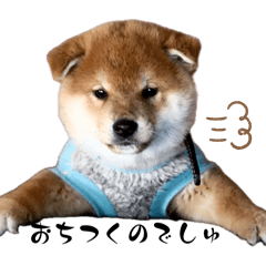 yokisanchi_20260511213612