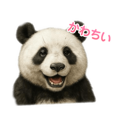 yuki.yuki_20260511213728
