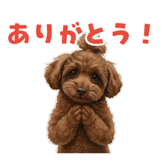 mokeke_20260511214209