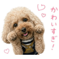 mikitysmile_20260511213932