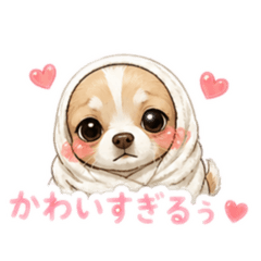 hikari_20260511213554