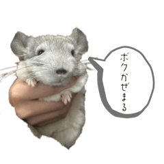 Y_20260511214402