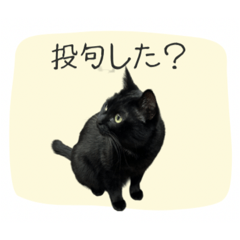 kanazubook_20260511214223