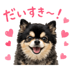 rioshi_20260511214326