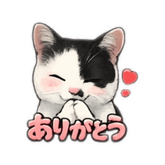 KAILA_20260511214335