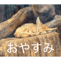 sninno_20260511214432