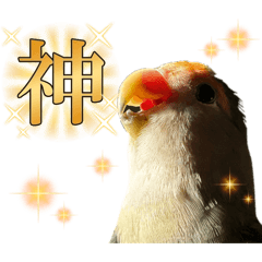 Lovebird stamp Vol.1