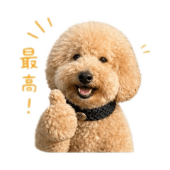 kaho_20260511214742