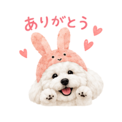 Irodori_20260511214551