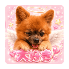 izumi_20260511215211