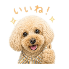 mikitysmile_20260511220435