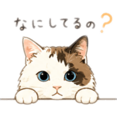 seamun_20260511222627