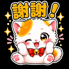 Super Cute Cat Reactions Taiwan 1